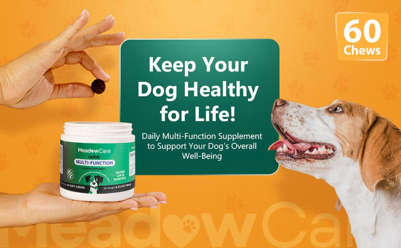 Hip and Joint to Supports Bone, Cartilage & Connective Tissue & Multi-Function to Support Joint Mobility, Skin, Coat & Immune System, Bundle for Dogs