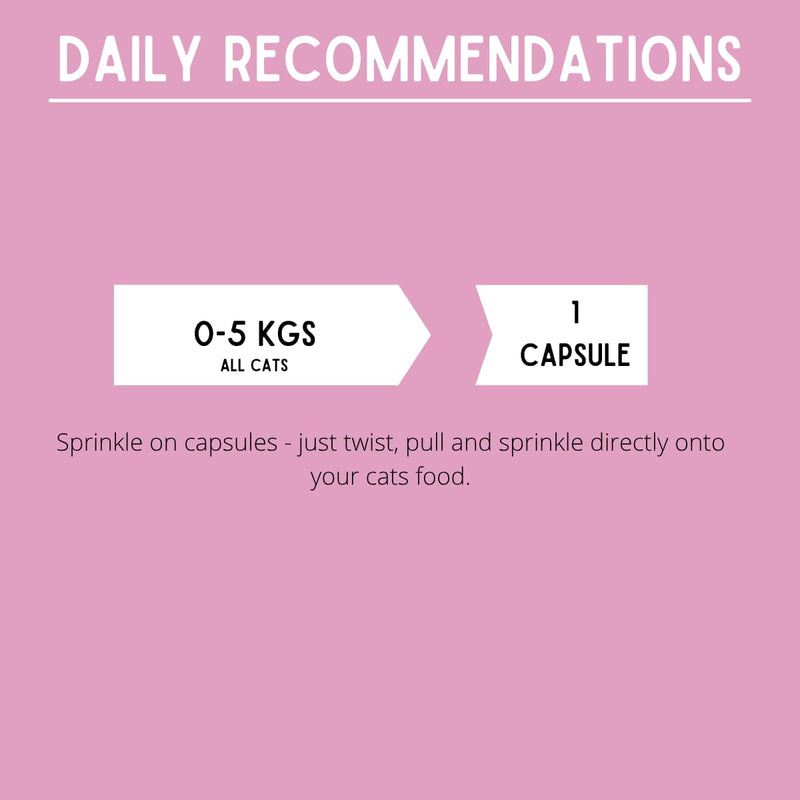 Flex HA for Cats | Max Strength combination of Glucosamine, MSM, Green Lipped Mussel & Hyaluronic Acid, with added antioxidants designed to soothe stiff joints, aid mobility - 60 capsules