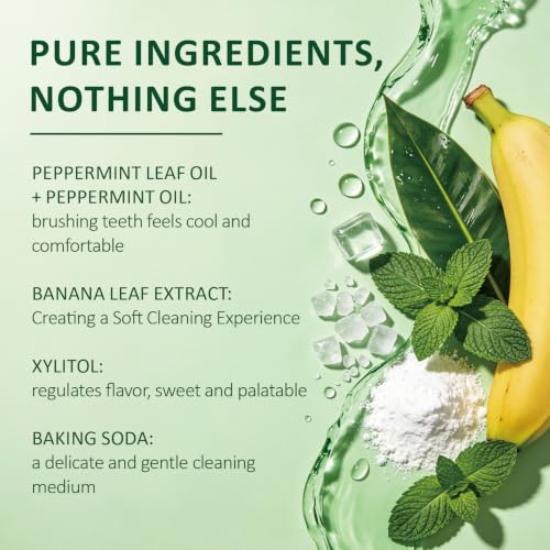 Botanis Tooth Powder with Hydroxyapatite, Fluoride-Free Oral Care, Mint