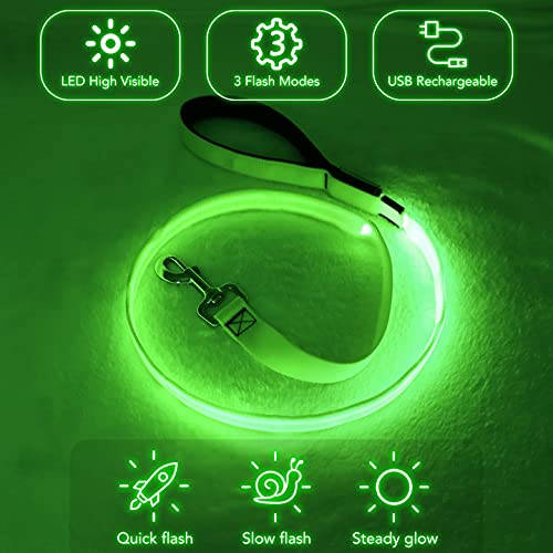 Colaseeme LED Dog Leash Light Up Dog Leash 4 Feet Micro USB Rechargeable Nylon Webbing Glow Safety Standard Dog Leash for Dogs (Green) Green - BeesActive Australia