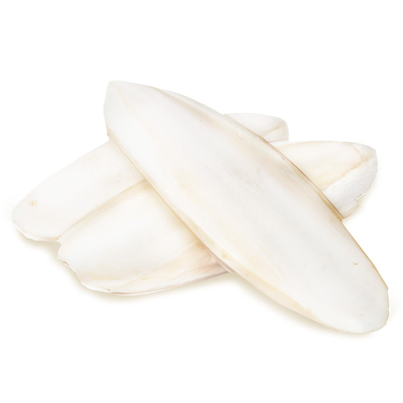 SunGrow 3 Pack Cockatiel Cuttlefish Bone, Calcium Addition to Bird Beak Care, Cage Mount Holder NOT Included, Support Shell Strength, Turtle, Shrimp, Dog, Snail, Aviary Clip, Accessory Reptile Small, 3 Pieces