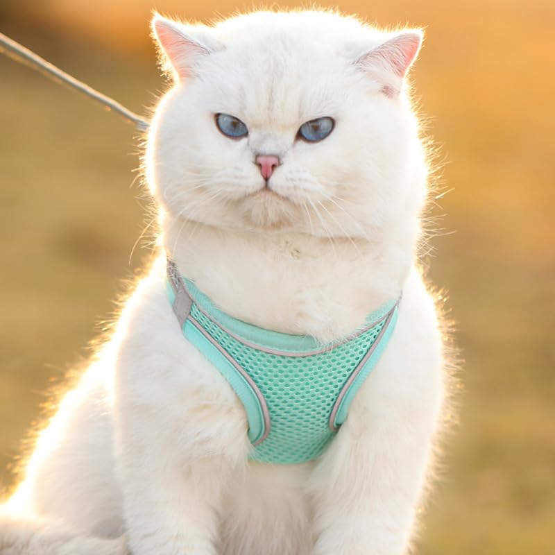 Cat Harness and Leash Set Soft Adjustable Escape Proof Cat Leash Breathable Comfortable Vest Easy to Wear Kitten/Small Dogs Harness for Outdoor Walking Green M Aqua Medium - BeesActive Australia