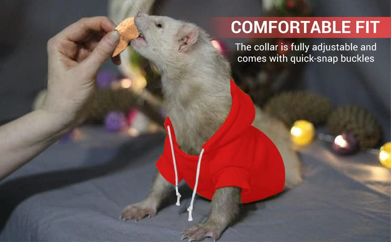 Red Ferret Sweater, Harness, and Leash Set - Ferret Clothes- Ferret Accessories - Clothes for Ferrets - Ferret Stuff - Hoodies for Ferrets - Ferret Accessories red - BeesActive Australia