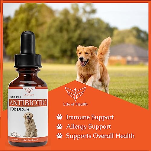 Natural Antibiotics for Dogs - Dog Antibiotics - Dog Ear Infection Treatment - Yeast Infection Treatment for Dogs - Dog Antibiotic - 1 fl oz - Bacon Flavor