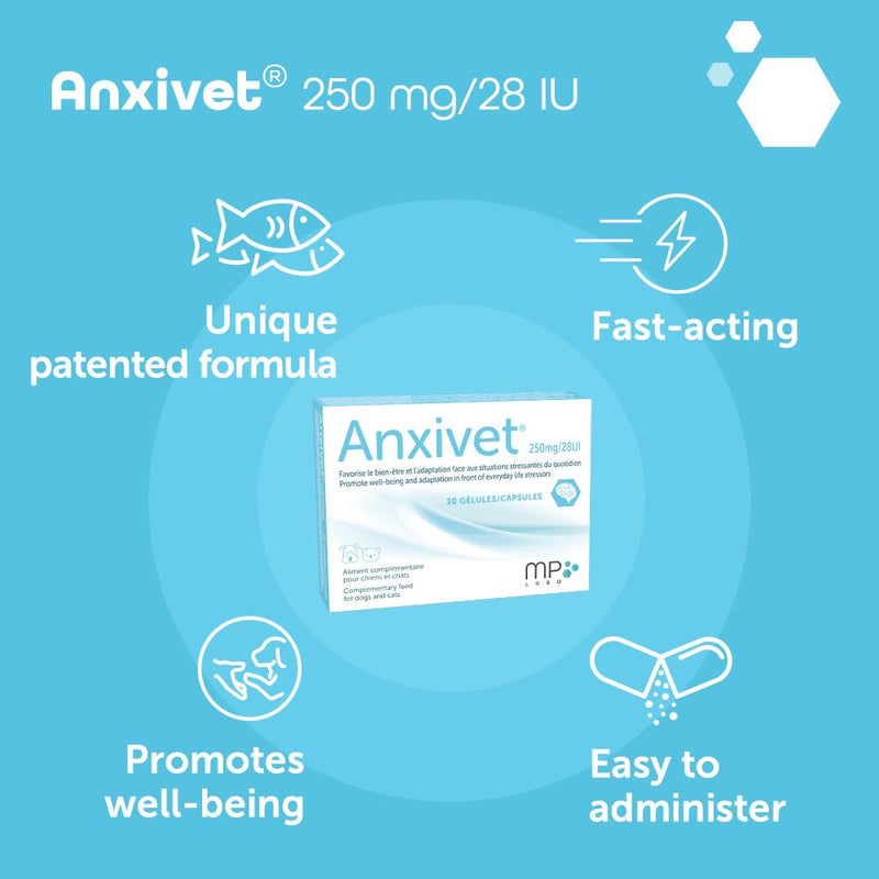 MP Labo Anxivet - Promotes Well-being and Adaptation to Stressful Daily Situations for Dogs and Cats (250 mg 28 IU 30 Capsules)