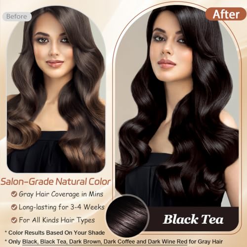 Black Tea Hair Dye Shampoo for Gray Hair, Natural Hair Color for Women&Men Black Tea