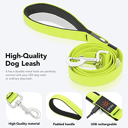 Colaseeme LED Dog Leash Light Up Dog Leash 4 Feet Micro USB Rechargeable Nylon Webbing Glow Safety Standard Dog Leash for Dogs (Green) Green - BeesActive Australia