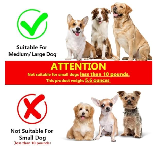 Double Dog Leash, Two Dog Leash Splitter, Adjustable Length and Tangle Free, Heavy Duty Walking Training Dual Dog Leash Extension for Medium and Large Dog, Black Medium+Large - BeesActive Australia