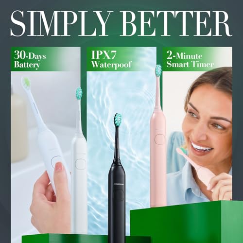 Brushmo Super Sonic Electric Toothbrush with 4 Replacement Heads - Rechargeable Electronic Tooth Brush for Adults with 5 Customizable Modes - IPX7 Waterproof & Long-Lasting Battery – Nova Pink 4 Count (Pack of 1)