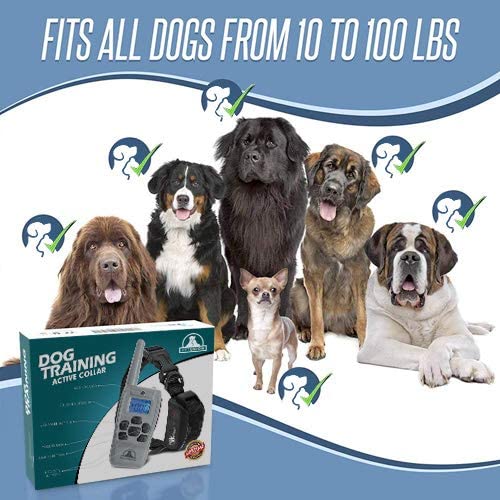 Pet Union PT0Z1 Premium Training Shock Collar for Dogs with Remote - Fully Waterproof, 4 Adjustable Training Modes - Shock, Vibration, Beep - Up to 1200ft Range Light Gray - BeesActive Australia