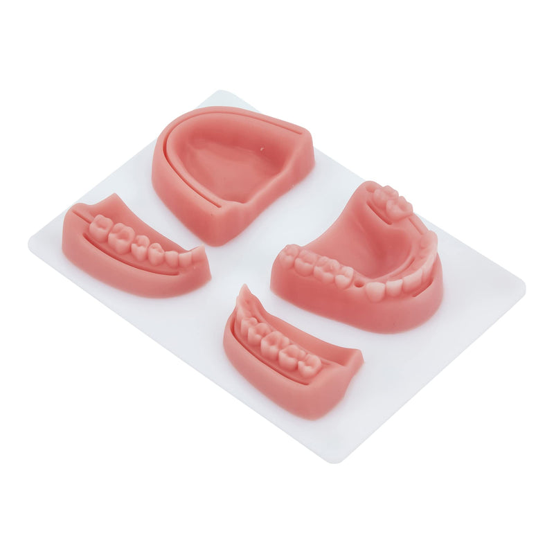 Dental Suture Practice Kit | Complete Suturing Kit Including 4 Suture Pads | Perfect Dentist Gifts | 6 Quality Dental Suture Tools | Suturing Practice | OSCE Dentistry | Perfect Suture Material - BeesActive Australia
