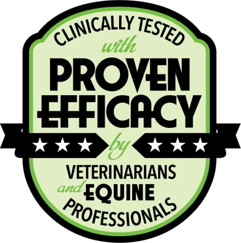 Liniment Gel - Veterinary Strength - Odorless and Colorless - Pain Relief Topical Analgesic Horse Cream for Joint and Muscle Pain - Natural Mineral 16 Fl Oz (Pack of 1) - BeesActive Australia