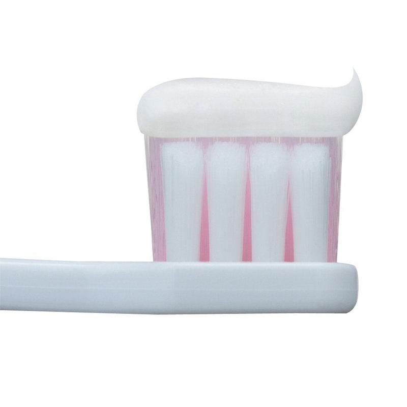 Dent Health Medicinal Hamigaki Stain Block 85g (Quasi-drug) to prevent alveolar pyorrhea