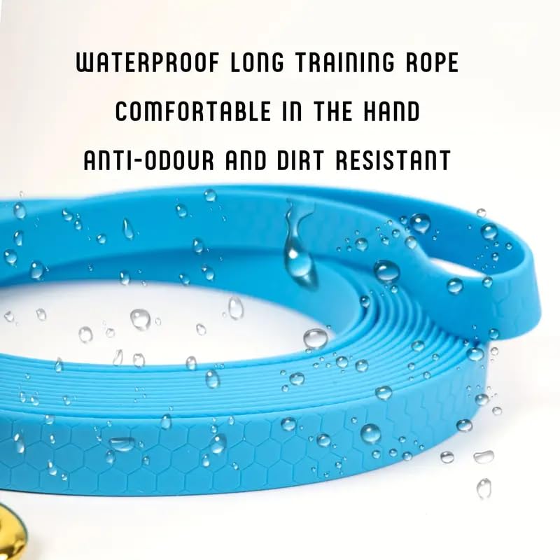 Heavy Duty Recall Great for Training Dog Leash with Swivel Lockable Hook and Comfortable, for Walking, Hunting, Camping, Backyard for Small Medium and Large Dogs Waterproof Black 10FT - BeesActive Australia