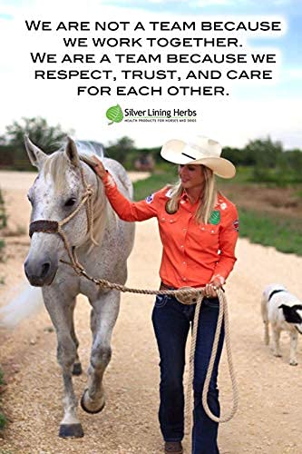 Silver Lining Herbs Keep Cool Equine Calmer - Natural Herbal Horse Supplement - Supports Calming Anxious and Excitable Horses - Helps Maintain Contentment and Relieve Stress - 1 lb Bag - BeesActive Australia