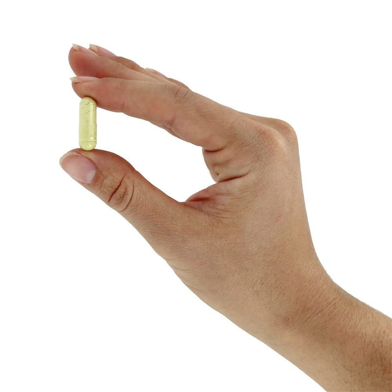 NOW Foods Rutin 450 mg - 100 Veg Capsules