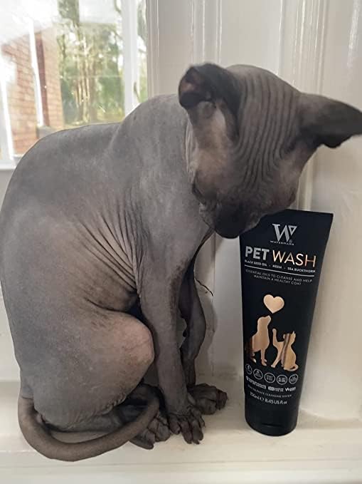 Watermans Cat & Dog Shampoo Wash - Antifungal, Natural & Antibacterial Head-to-Tail Wash - Bubble Grooming for Smelly, Itchy Skin, Dandruff & Pet Allergies - Paraben-Free & Deodorizing - PawsPlanet Australia