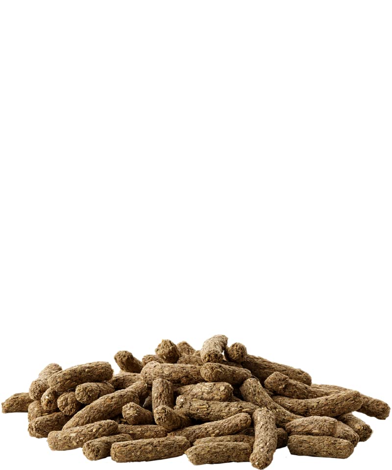 Versele-Laga Complete Cavia All-in-one Nutrition | Double pack | 2 x 500g | Pellets for guinea pigs | contains timothy hay | enriched with elderberries and herbs 500 g (pack of 2) - BeesActive Australia