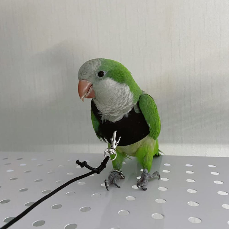 Bird Flight Harness Vest, Parrot Flight Suit with Leash for Parakeets Cockatiels Conures Budgies, Bird Flying Clothes with Rope and Handle for Outdoor Activities Training, Anti Bite (Medium) Medium - BeesActive Australia