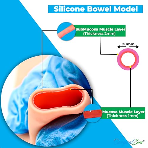 SurgicalSim Bowel Anastomosis Suture Practice Kit, End-to-End Techniques, Includes 0.8" Diameter Intestinal Model, Tool Kit, Threads, Ideal for Practice