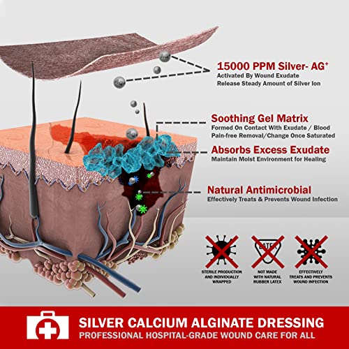 EVERLIT AG Silver Calcium Alginate Wound Dressing | Absorbent Non-Stick Sterile Dressing Pad | Gentle Hemostatic Gauze with Natural Gelling Fiber for Wound Care (4" x 4" | Pack of 10) 4" x 4" | Pack of 10