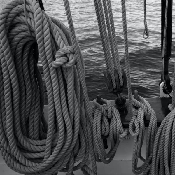 Rope & Cord 12-Strand DYMAX Rope | Gray | 10, 25, 50, 100, 600 ft | ½, ¼, 1/8, 3/8, 5/16 in | Made in The USA 50' - BeesActive Australia