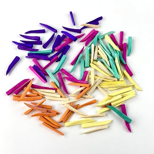 600pcs Dental Wooden Wedges, Colorful Wood Dental Matrix Wedges Gap Wedge, Disposable Fixing Materials for Dental Restoration
