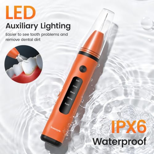 Plaque Remover, Electric Teeth Cleaner with 4 Tips