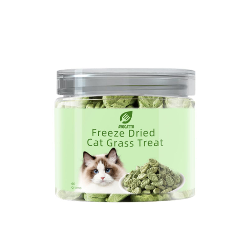 Cat Grass Sticks for Cat, Cat Grass Teething Stick Snack Canned for Indoor Cats, Cat Grass Treats for Teeth Cleaning and Hairball Relief - BeesActive Australia