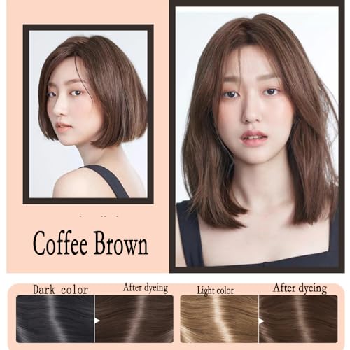 Medium Brown Hair Dye Shampoo Permanent YIZHONG Hair Color (COFFEE) COFFEE