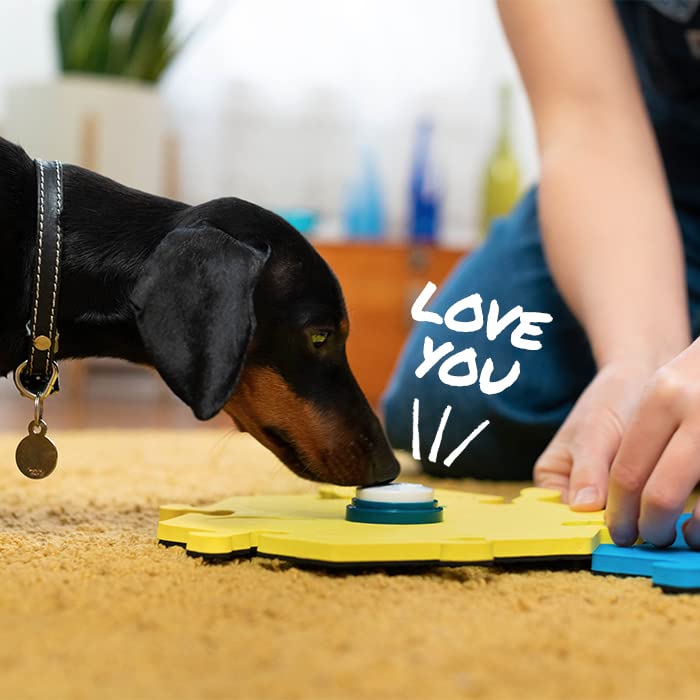 FluentPet Basic Tester Kit - Set of 2 Basic Buttons with Batteries Included for Dogs & Cats and 1 HexTile - Customizable Cat & Dog Training Buttons for Communication - Talking Button Gift Set - BeesActive Australia