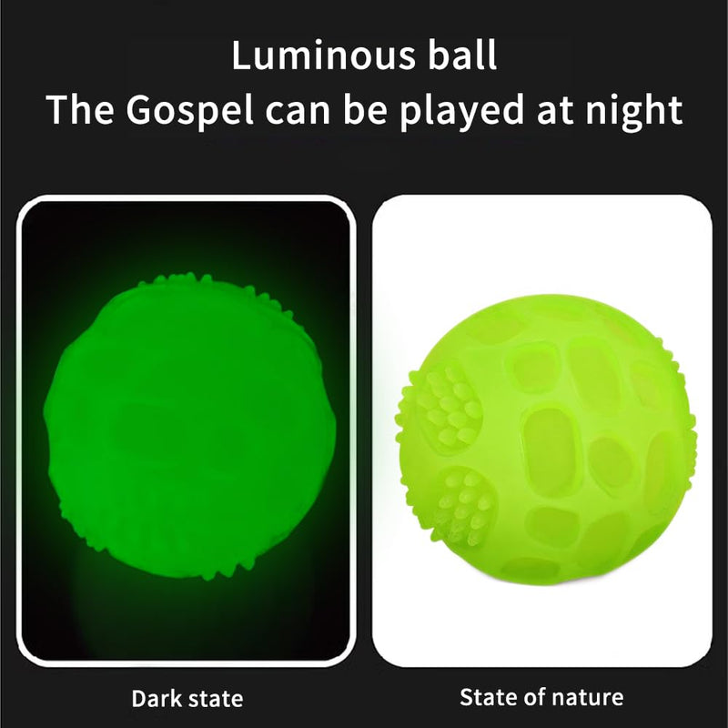 2025 Glow in The Dark Toys,Dog Flying Disc, Dog Ball,Interactive Dog Toys,Indestructible Dog Toy,Glow in The Dark Chuck it Ball - BeesActive Australia