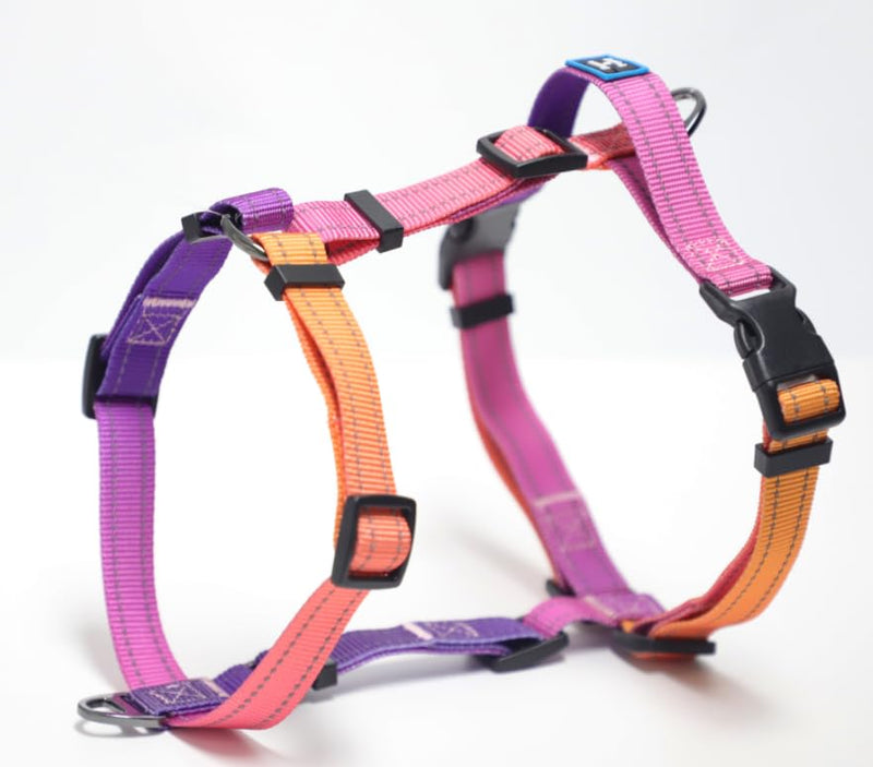 Roses&Poetry Dog Harness with Leash, No Pull Adjustable Harness Leash, Reflective Dog Halter Harnesses Comfort Padded Handle, Pet Walking Harness for Medium Dogs（Mistyrose-M） Mistyrose - BeesActive Australia