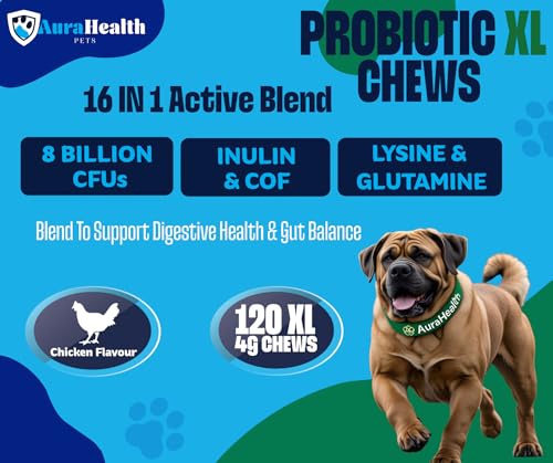 Dual-Action Strength & Gut Health Bundle for Medium to Large Dogs (120 XL Chews x2)