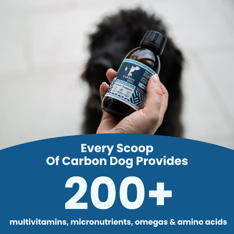 Immune Support Dog Supplement 250ml | Specially Formulated Supplements for Dog Health | For Balance, Resilience & Long Term Health | 100% Natural | With Salmon Oil and Coconut Oil for Dogs