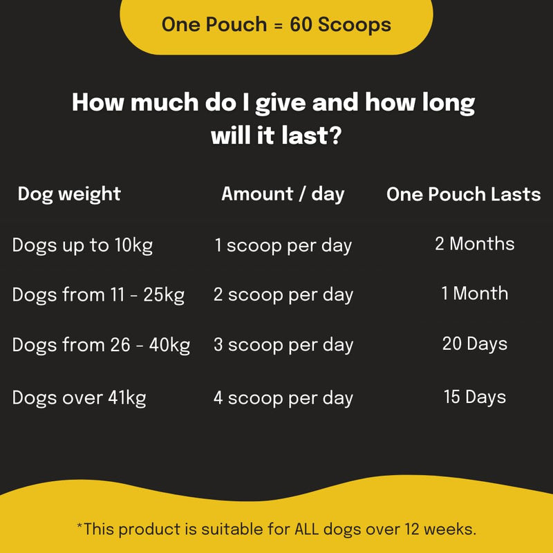 Buddy & Lola Joint Supplements For Dogs With Glucosamine, Chondroitin, Green Lipped Mussel - 10 Key Dog Vitamins, Bouncy Bones Helps with Pain Relief, Joint Support & Stiff Joints 120 g