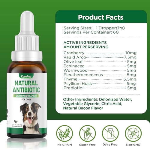 Antibiotics for Dogs,Natural Antibiotics for Dogs,Pet Antibiotic,Supplement for Urinary Tract Support, Digestion & Skin Health,Dog Allergy and Itch,Natural Herbal Supplement