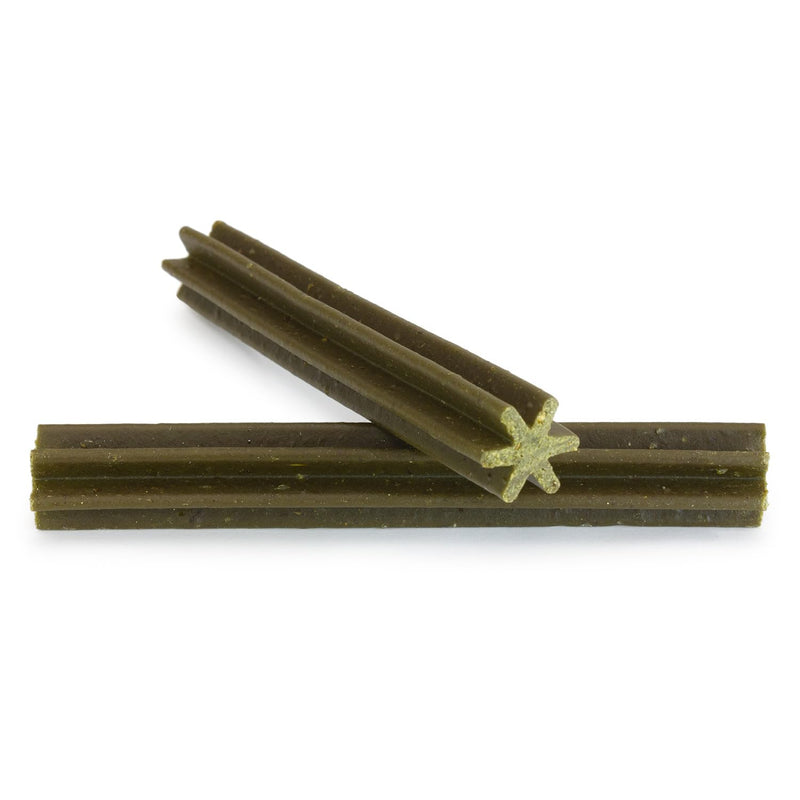 Arquivet - Fresh Dental Sticks (28 units) - 560 g - with mint flavor - Dog treats