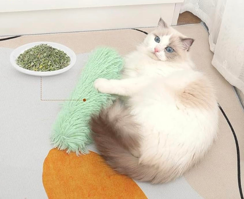 Pet Toys Cat Catnip 2 Pack Toys for Indoor Cat Pillow Interactive Teething Toys for Small Cats Chasing Chewing Exercising