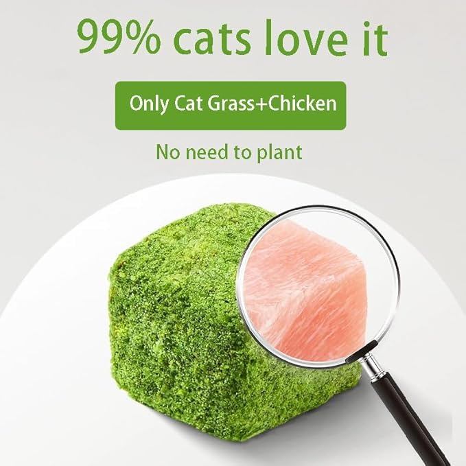 Meowly 110g Cat Grass Treats for Teeth Cleaning and Hairball Removal, Natural Dried Cat Grass Teething Stick Snacks for Cats 3.8 Ounce (Pack of 1)