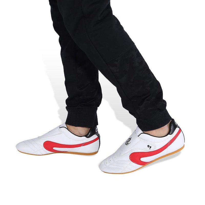 VGEBY1 Taekwondo Shoes, Unisex Wear Kung Fu Tai Chi Shoes for Children and Adults Sport Gym Accessory(38)
