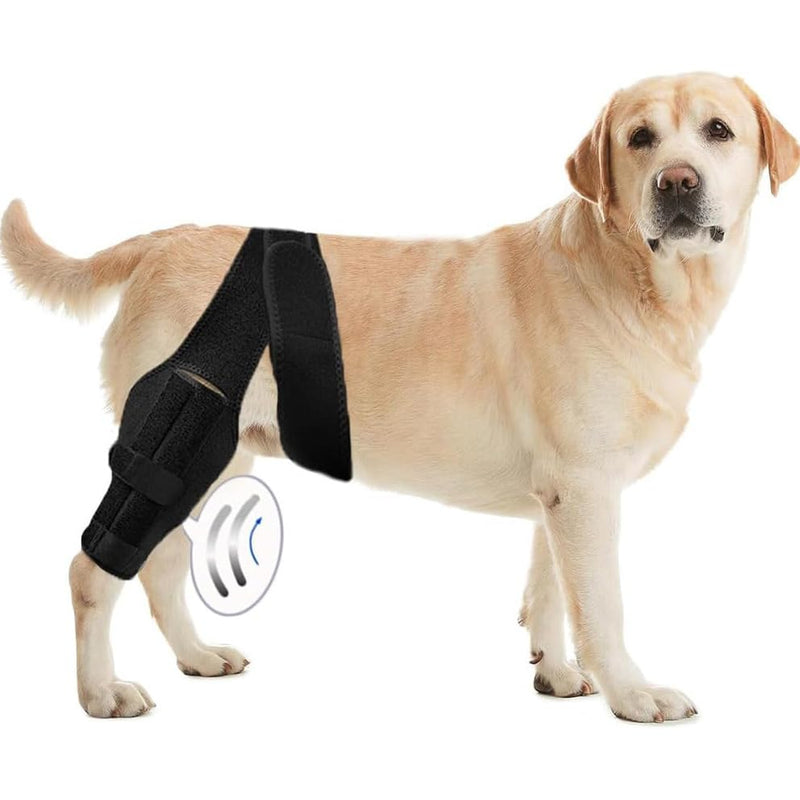 Dog Knee Brace for Torn Acl and Ccl Injuries, Adjustable Dog Acl Brace Hind Leg Support with Metal Stabilizers, Knee Brace for Dogs Back Leg Helps with Joint Pain, Surgery Recovery (M) M