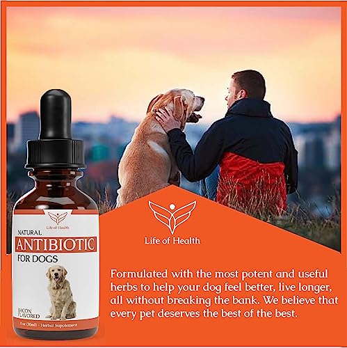 Natural Antibiotics for Dogs - Dog Antibiotics - Dog Ear Infection Treatment - Yeast Infection Treatment for Dogs - Dog Antibiotic - 1 fl oz - Bacon Flavor