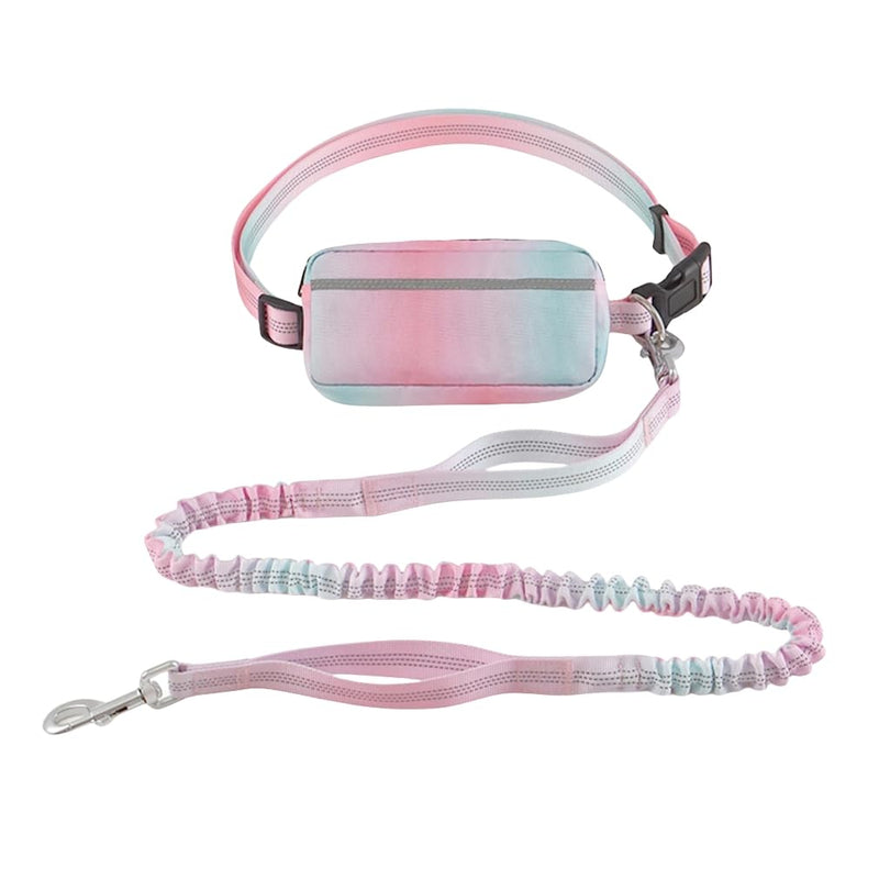 Hands Free Dog Leash with Zipper Pouch, Dual Handles and Durable Reflective Bungee for Walking, Jogging and Running Medium Large Dog (Pink+Cyan) Pink+Cyan - BeesActive Australia