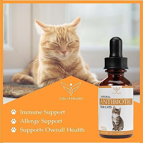 Natural Antibiotics for Cats - Cat Antibiotics - Cat Antibiotic - Pet Antibiotics - Cat Immune Support - Antibiotic for Cats - Cat Multivitamin - Cat UTI Antibiotics - - BeesActive Australia