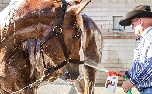UltraCruz Equine Foaming Horse Shampoo, 32 oz Refill - BeesActive Australia