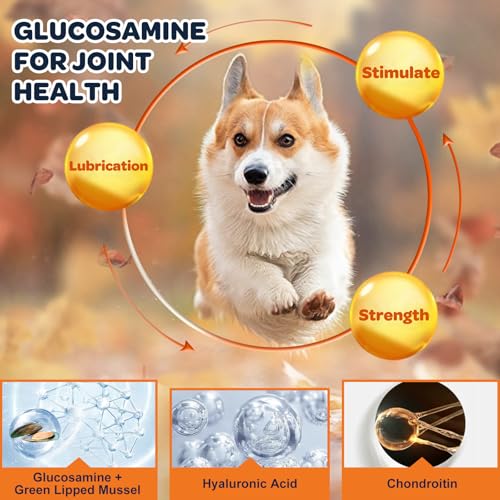 Glucosamine for Dogs 120 Counts & Pumpkin Powder for Dogs