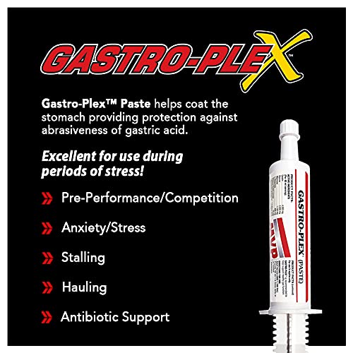 MVP Gastro-Plex Paste 5-Pack (10 doses) Gastric Stress Relief Paste for Horses - BeesActive Australia