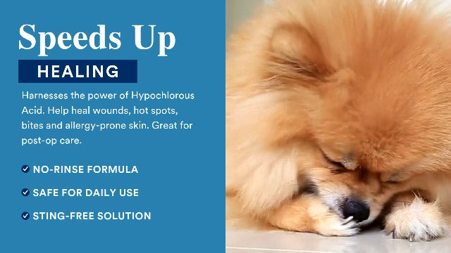 SkinSmart Antimicrobial Wound Care for Pets, Hypochlorous Acid Spray, 8 oz