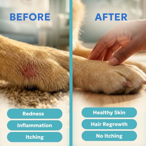 Forticept Blue Butter – Hot Spot Treatment for Dogs Cats | Dog Cat Wound Care | Skin Yeast Infections, Ringworm, Cuts, Rashes, First Aid Veterinary Strength Anti Itch Cream 4oz 4 OZ